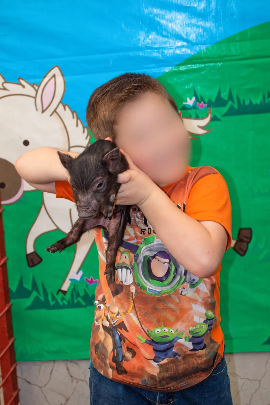 Niño con un cerdito pequeño
