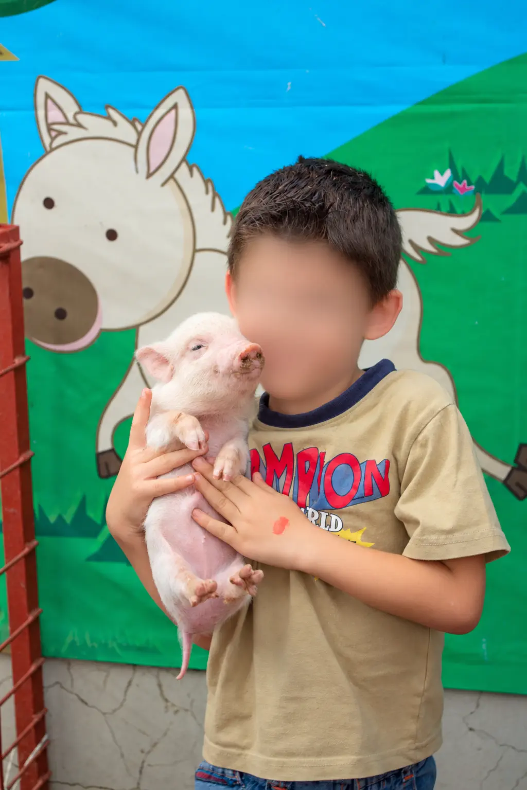 Niño conviviendo cuidadosamente con un cerdito